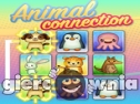 Miniaturka gry: Animal Connection