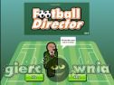Miniaturka gry: Director Of Football
