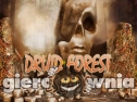 Miniaturka gry: Druid Forest Escape