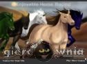 Miniaturka gry: Enjoyable Horse Racing