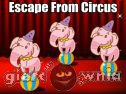 Miniaturka gry: Escape From Circus