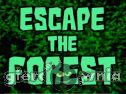 Miniaturka gry: Escape The Forest