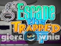 Miniaturka gry: Escape the Trapped Cop