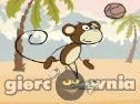 Miniaturka gry: Monkey Ball