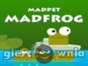 Miniaturka gry: Madpet Madfrog