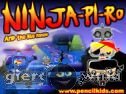 Miniaturka gry: Ninja Pi Ro and the Blue Diamond
