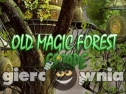 Miniaturka gry: Old Magic Forest Escape