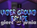 Miniaturka gry: Under Ground Escape