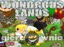 Miniaturka gry: Wondrous Lands