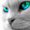 avatar Ikelion
