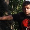 avatar Wertus