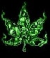 avatar dawidek1403