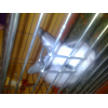avatar edytalata35