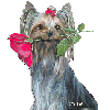 avatar jakrystyna70