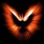 avatar karies27