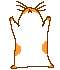 avatar kondi00