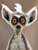 avatar maciejas456