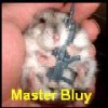 avatar masterbluy