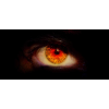avatar maxivus