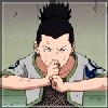 avatar narashikamaru