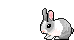 avatar olciakubus