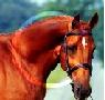 avatar paulina09
