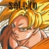 avatar salcio