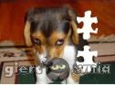 Miniaturka gry: Cute Doggie Puzzle