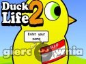 Miniaturka gry: DuckLife 2