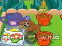 Miniaturka gry: Dora's Magical Garden