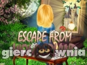 Miniaturka gry: Escape From Wonderland