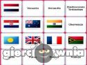 Miniaturka gry: Flagi Świata
