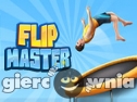 Miniaturka gry: Flip Master