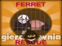 Miniaturka gry: Ferret Rescue From Cage