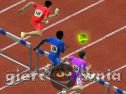 Miniaturka gry: Hurdle Race