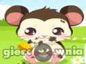 Miniaturka gry: Hamster Care