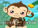 Miniaturka gry: Monkey Care