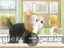 Miniaturka gry: Pet Grooming Studio