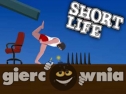 Miniaturka gry: Short Life