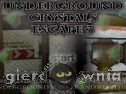 Miniaturka gry: Underground Crystals Escape 3