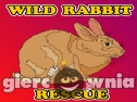 Miniaturka gry: Wild Rabbit Rescue